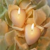 Romantic Sweet Heart Candles