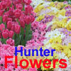 Flowers Hunter