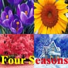 Four Seasons: Spring, Summer, Autumn or Winter?