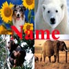 Name The Animals