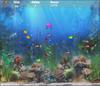 Aquatic Hunt