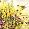 Art Painting - Brid 2