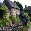 Beauty Gardens 2