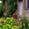 Beauty Gardens 3