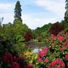 Beauty Gardens Puzzles 5
