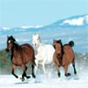 Running Horses Sliding