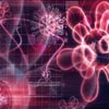 Virus