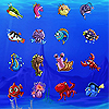marine life picture matching