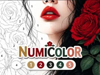 Numicolor