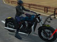 Bike Riders 3D