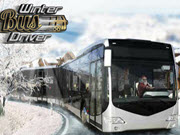 Winter Bus Driver